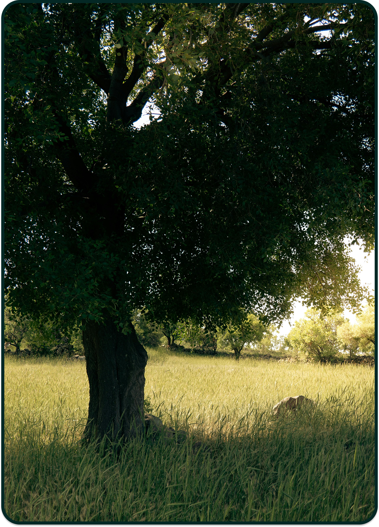 CanArb App